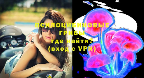 mix Абаза
