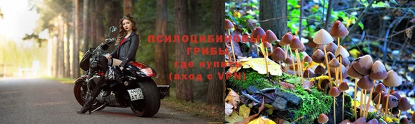 mix Абаза