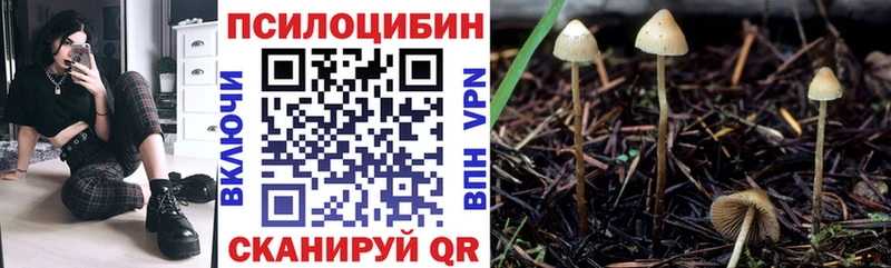 Галлюциногенные грибы Psilocybine cubensis Камышлов